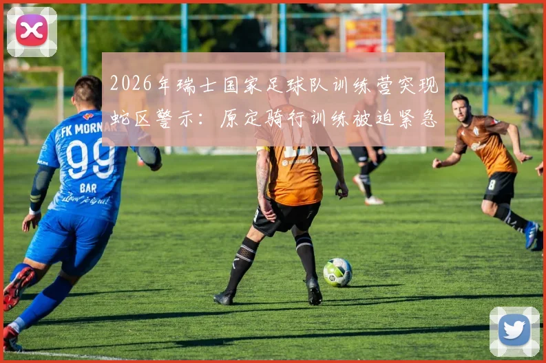 2026年瑞士国家足球队训练营突现蛇区警示：原定骑行训练被迫紧急取消，队员安全如何保障？