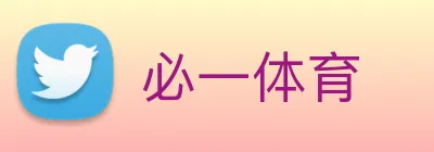 必一体育 Logo